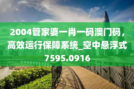 2004管家婆一肖一码澳门码，高效运行保障系统_空中悬浮式7595.0916