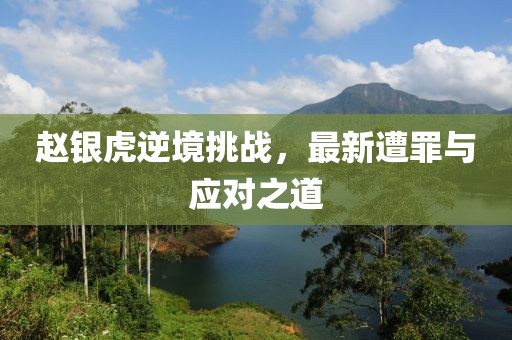 赵银虎逆境挑战，最新遭罪与应对之道