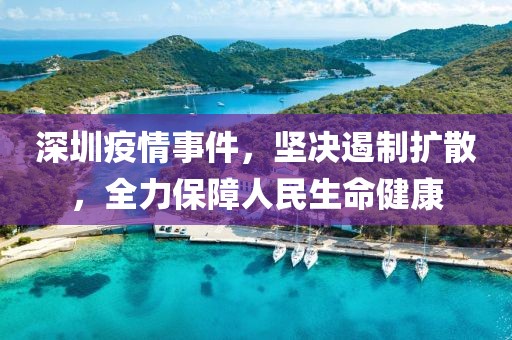 深圳疫情事件，坚决遏制扩散，全力保障人民生命健康
