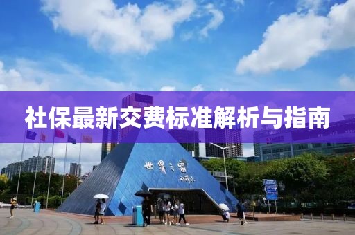 社保最新交费标准解析与指南