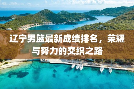 辽宁男篮最新成绩排名，荣耀与努力的交织之路