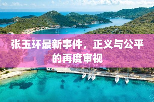 张玉环最新事件，正义与公平的再度审视