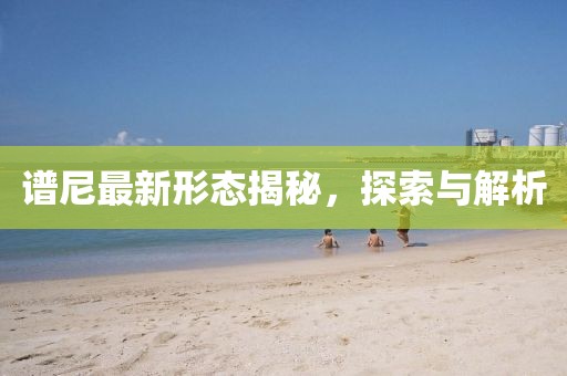 谱尼最新形态揭秘，探索与解析