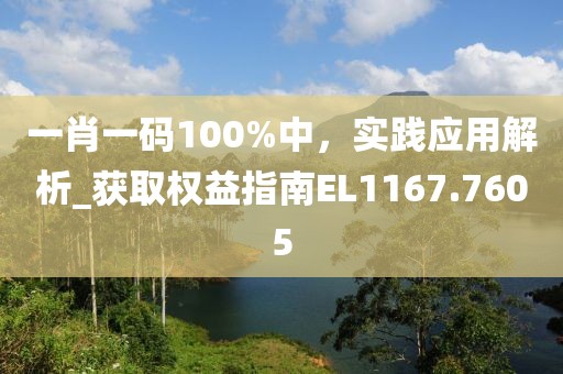 一肖一码100%中，实践应用解析_获取权益指南EL1167.7605