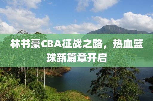 林书豪CBA征战之路，热血篮球新篇章开启