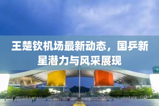 王楚钦机场最新动态，国乒新星潜力与风采展现