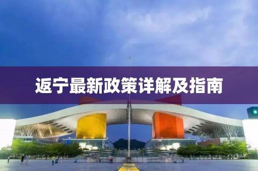 返宁最新政策详解及指南
