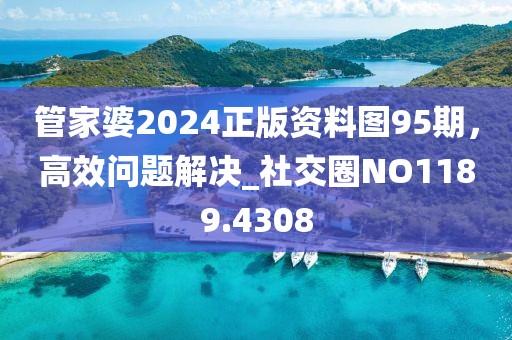 管家婆2024正版资料图95期，高效问题解决_社交圈NO1189.4308