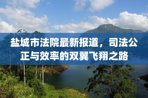 狙击甜心 第14页