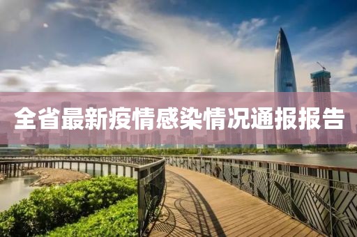 全省最新疫情感染情况通报报告