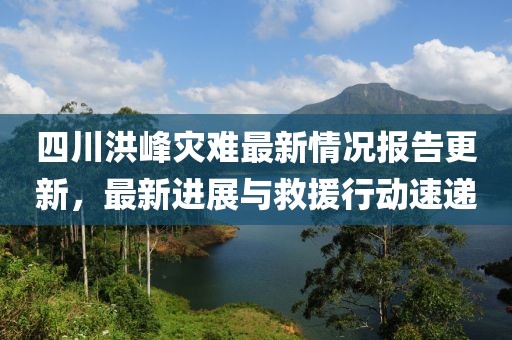 四川洪峰灾难最新情况报告更新，最新进展与救援行动速递