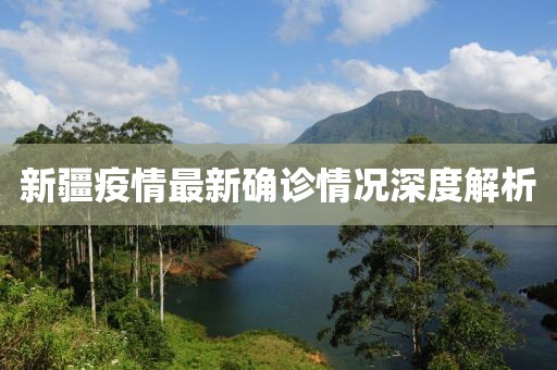新疆疫情最新确诊情况深度解析
