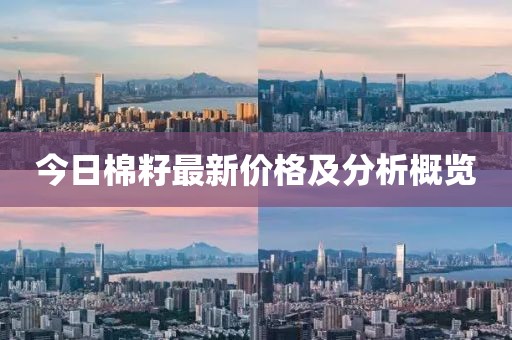 今日棉籽最新价格及分析概览