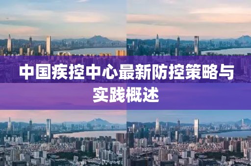 中国疾控中心最新防控策略与实践概述