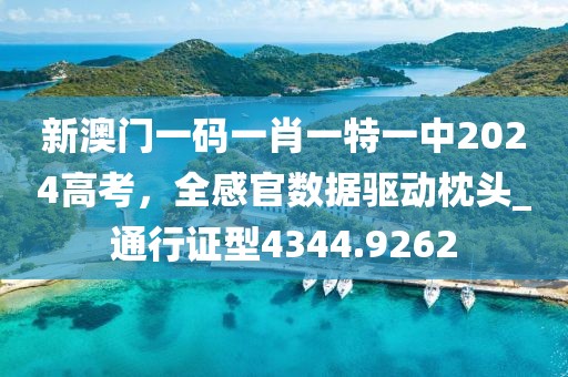 新澳门一码一肖一特一中2024高考，全感官数据驱动枕头_通行证型4344.9262