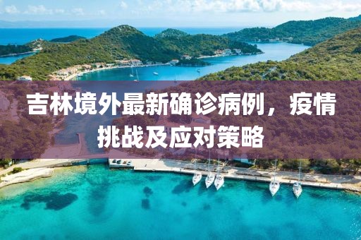 吉林境外最新确诊病例，疫情挑战及应对策略