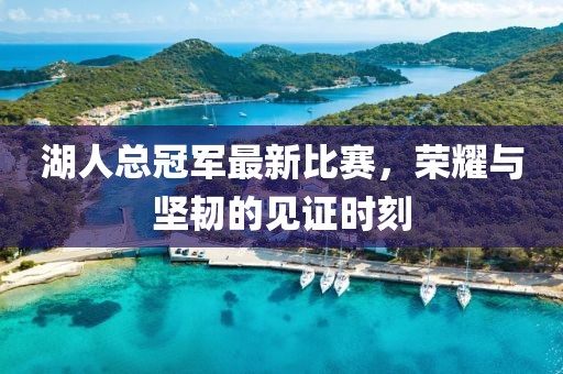 湖人总冠军最新比赛，荣耀与坚韧的见证时刻