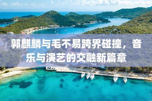 郭麒麟与毛不易跨界碰撞，音乐与演艺的交融新篇章