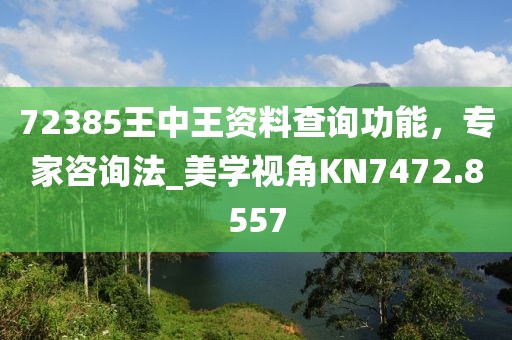 72385王中王资料查询功能，专家咨询法_美学视角KN7472.8557