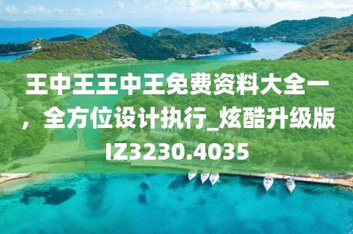 王中王王中王免费资料大全一，全方位设计执行_炫酷升级版IZ3230.4035