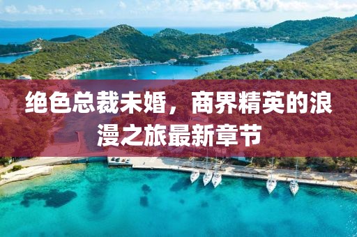 绝色总裁未婚，商界精英的浪漫之旅最新章节