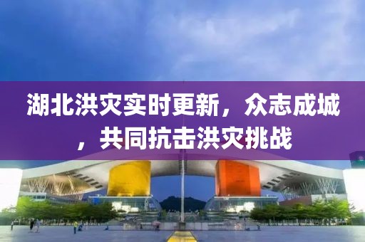 湖北洪灾实时更新，众志成城，共同抗击洪灾挑战