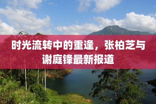 时光流转中的重逢，张柏芝与谢庭锋最新报道