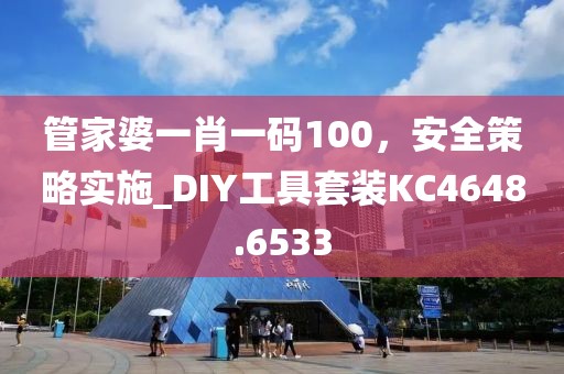 管家婆一肖一码100，安全策略实施_DIY工具套装KC4648.6533