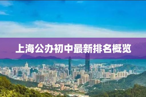 上海公办初中最新排名概览