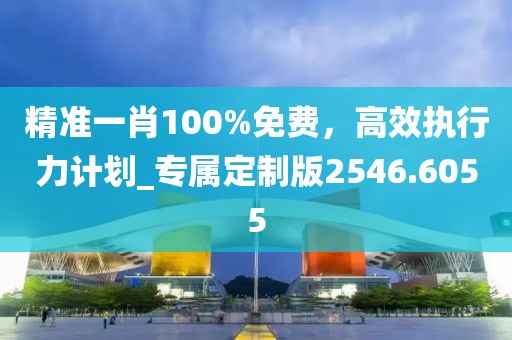 精准一肖100%免费，高效执行力计划_专属定制版2546.6055