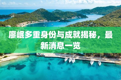廖岷多重身份与成就揭秘，最新消息一览