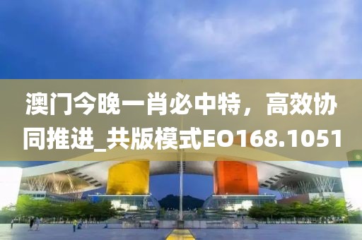 澳门今晚一肖必中特，高效协同推进_共版模式EO168.1051