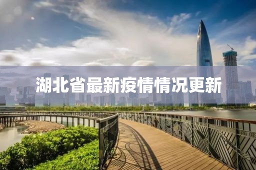 湖北省最新疫情情况更新