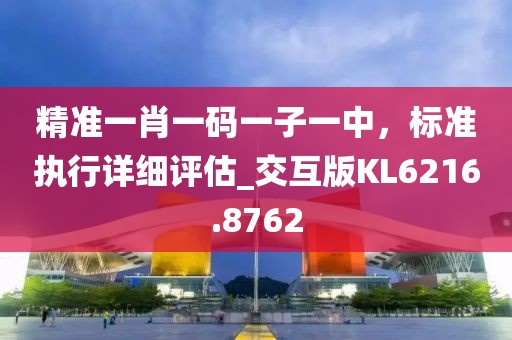 精准一肖一码一子一中，标准执行详细评估_交互版KL6216.8762