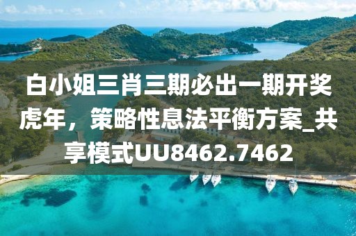 白小姐三肖三期必出一期开奖虎年，策略性息法平衡方案_共享模式UU8462.7462