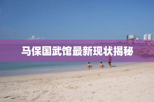 马保国武馆最新现状揭秘