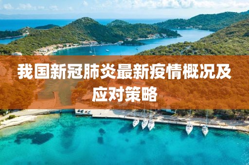我国新冠肺炎最新疫情概况及应对策略