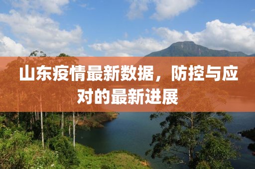 山东疫情最新数据，防控与应对的最新进展