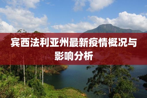 宾西法利亚州最新疫情概况与影响分析