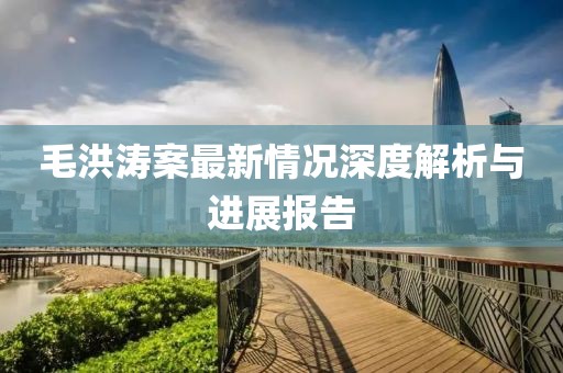 毛洪涛案最新情况深度解析与进展报告