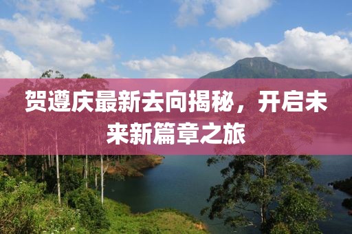 贺遵庆最新去向揭秘，开启未来新篇章之旅