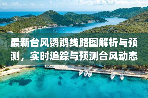 最新台风鹦鹉线路图解析与预测，实时追踪与预测台风动态