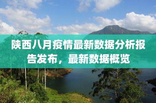 陕西八月疫情最新数据分析报告发布，最新数据概览