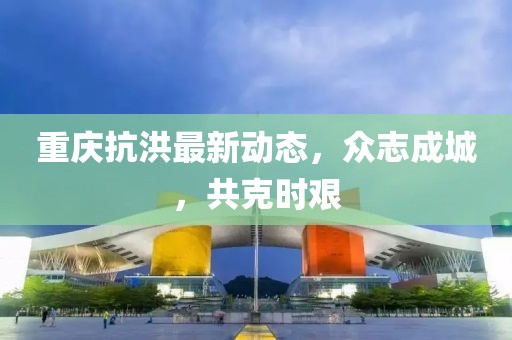 重庆抗洪最新动态，众志成城，共克时艰
