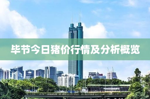 毕节今日猪价行情及分析概览