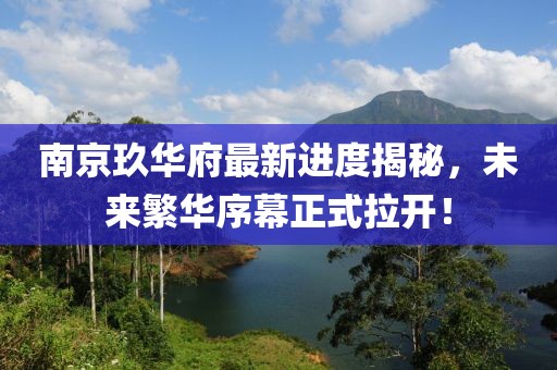 南京玖华府最新进度揭秘，未来繁华序幕正式拉开！