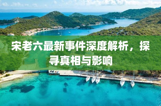宋老六最新事件深度解析，探寻真相与影响