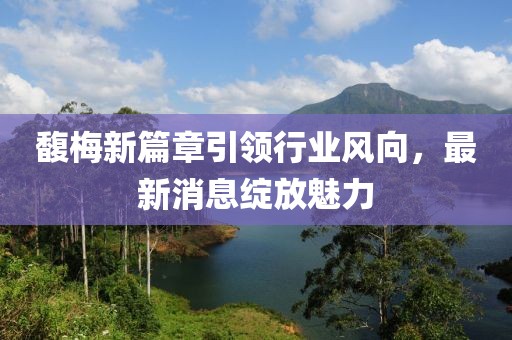 馥梅新篇章引领行业风向，最新消息绽放魅力