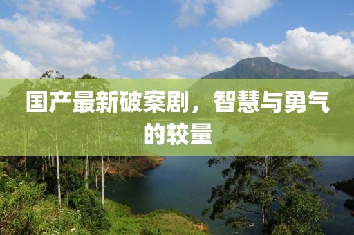 国产最新破案剧，智慧与勇气的较量