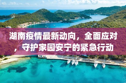 湖南疫情最新动向，全面应对，守护家园安宁的紧急行动